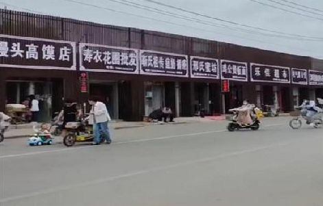 嘉鱼政府规划的统一招牌样式有哪些？